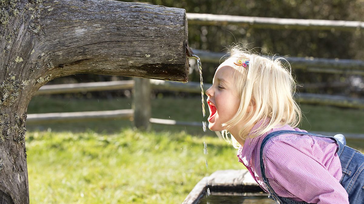 Familienurlaub - Ferienregion Lungau, Salzburger Land